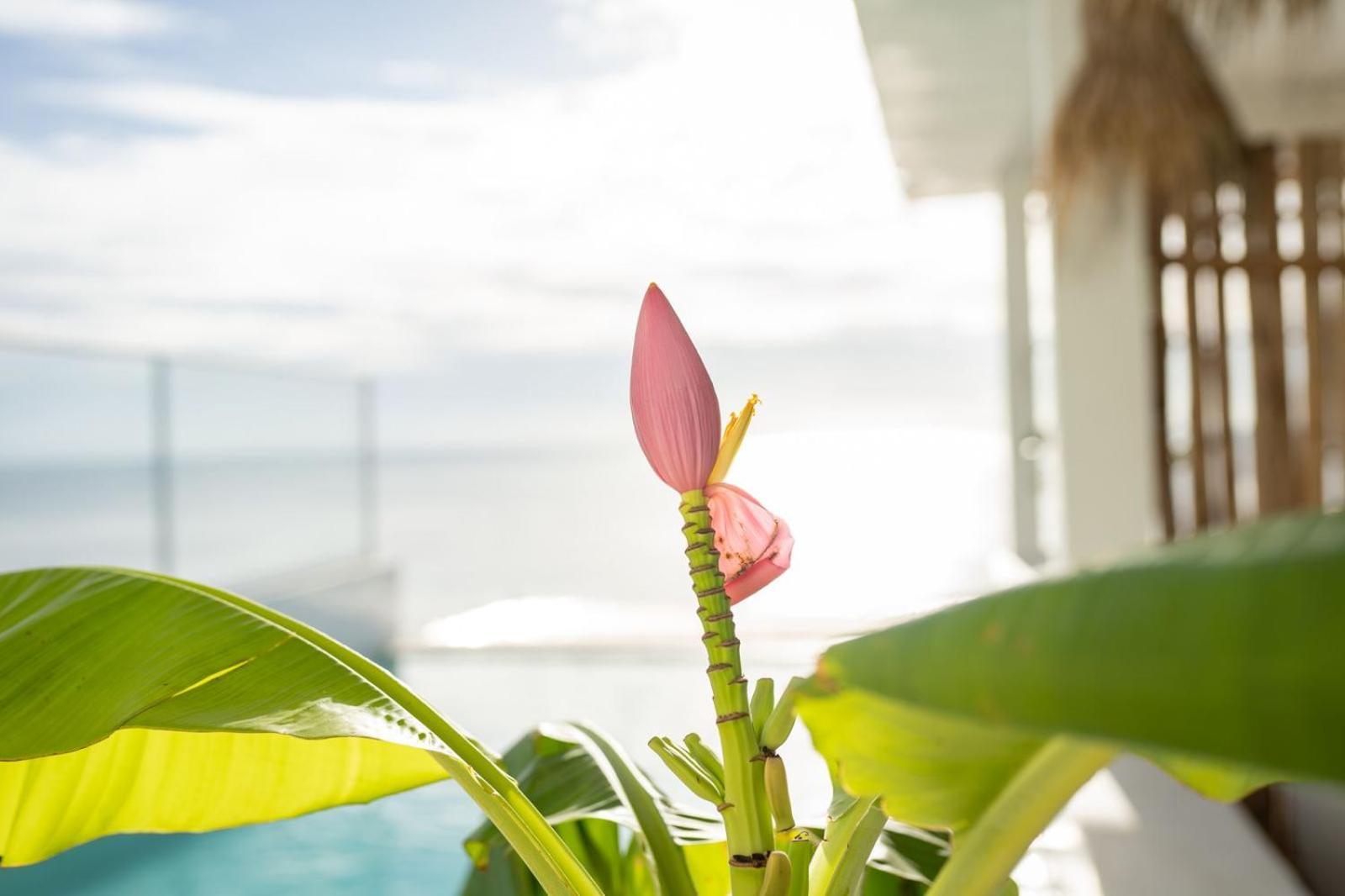 Sunrise Hotel Jambiani  Kültér fotó